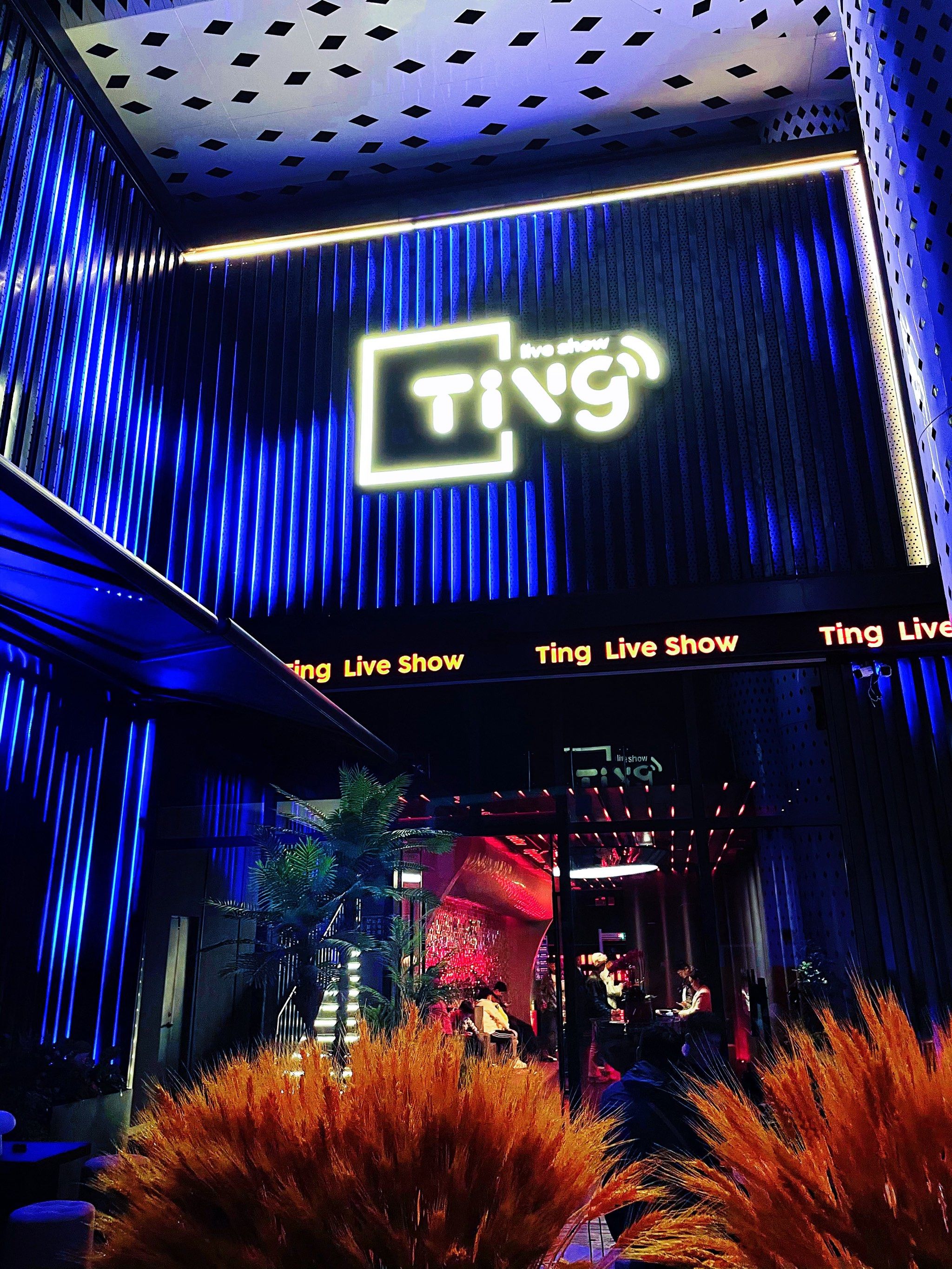 北京商务ktv是什么意思-通州区ktv预定